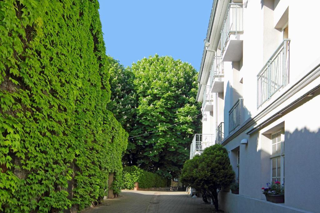 Tiptop Hotel Garni Pfauen Endingen am Kaiserstuhl Exterior photo